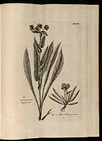  no thumbnail available