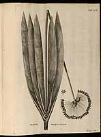  no thumbnail available