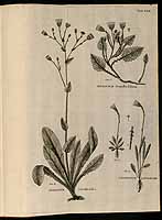  no thumbnail available