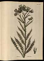  no thumbnail available