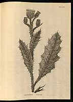  no thumbnail available