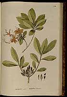  no thumbnail available