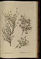  no thumbnail available