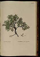  no thumbnail available