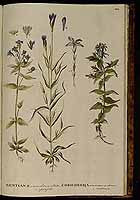  no thumbnail available