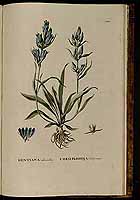  no thumbnail available