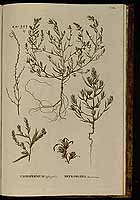  no thumbnail available