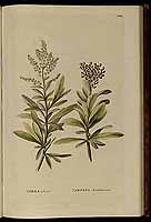  no thumbnail available