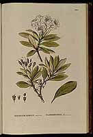  no thumbnail available