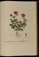  no thumbnail available