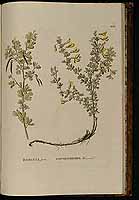  no thumbnail available