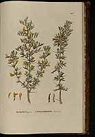  no thumbnail available