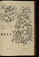  no thumbnail available