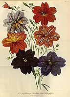  no thumbnail available