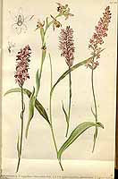  no thumbnail available