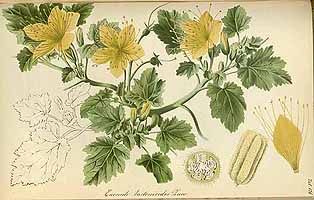  no thumbnail available