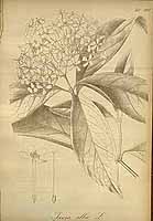  no thumbnail available