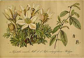  no thumbnail available