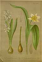  no thumbnail available