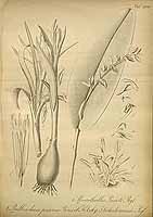  no thumbnail available