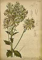  no thumbnail available