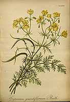  no thumbnail available