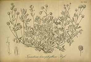  no thumbnail available