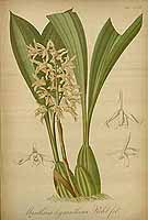  no thumbnail available