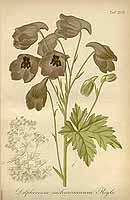  no thumbnail available