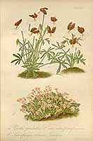  no thumbnail available