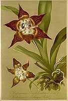  no thumbnail available