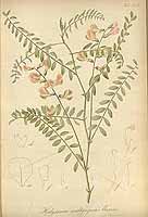  no thumbnail available