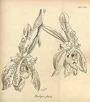  no thumbnail available