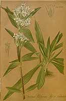  no thumbnail available