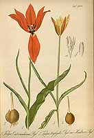  no thumbnail available