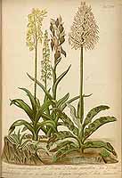  no thumbnail available