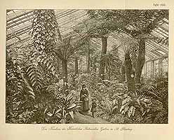  no thumbnail available