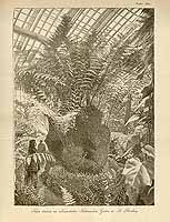  no thumbnail available