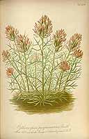  no thumbnail available