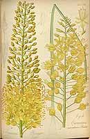  no thumbnail available