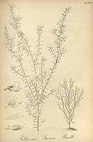  no thumbnail available