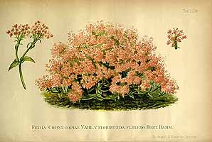  no thumbnail available