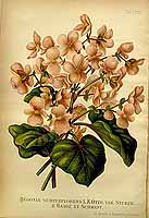  no thumbnail available