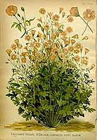  no thumbnail available