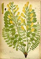  no thumbnail available