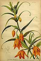  no thumbnail available