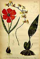  no thumbnail available