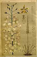  no thumbnail available