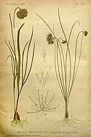  no thumbnail available