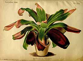  no thumbnail available